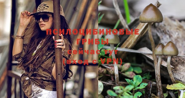 кокаин перу Бородино