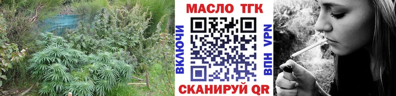 Купить  Вилючинск  ТГК Wax 